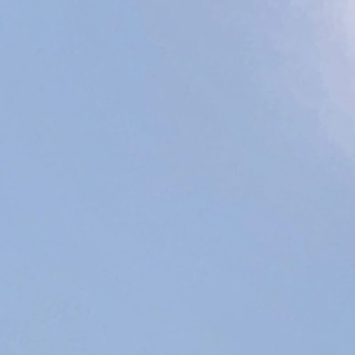정환