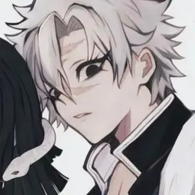 Profile image of 시나즈가와 사네미