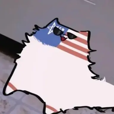 Profile image of 미국