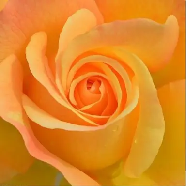 Profile image of 박덕개