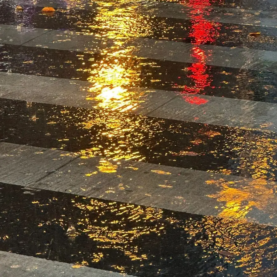 hlisverykkoll의 꿈속의 미학