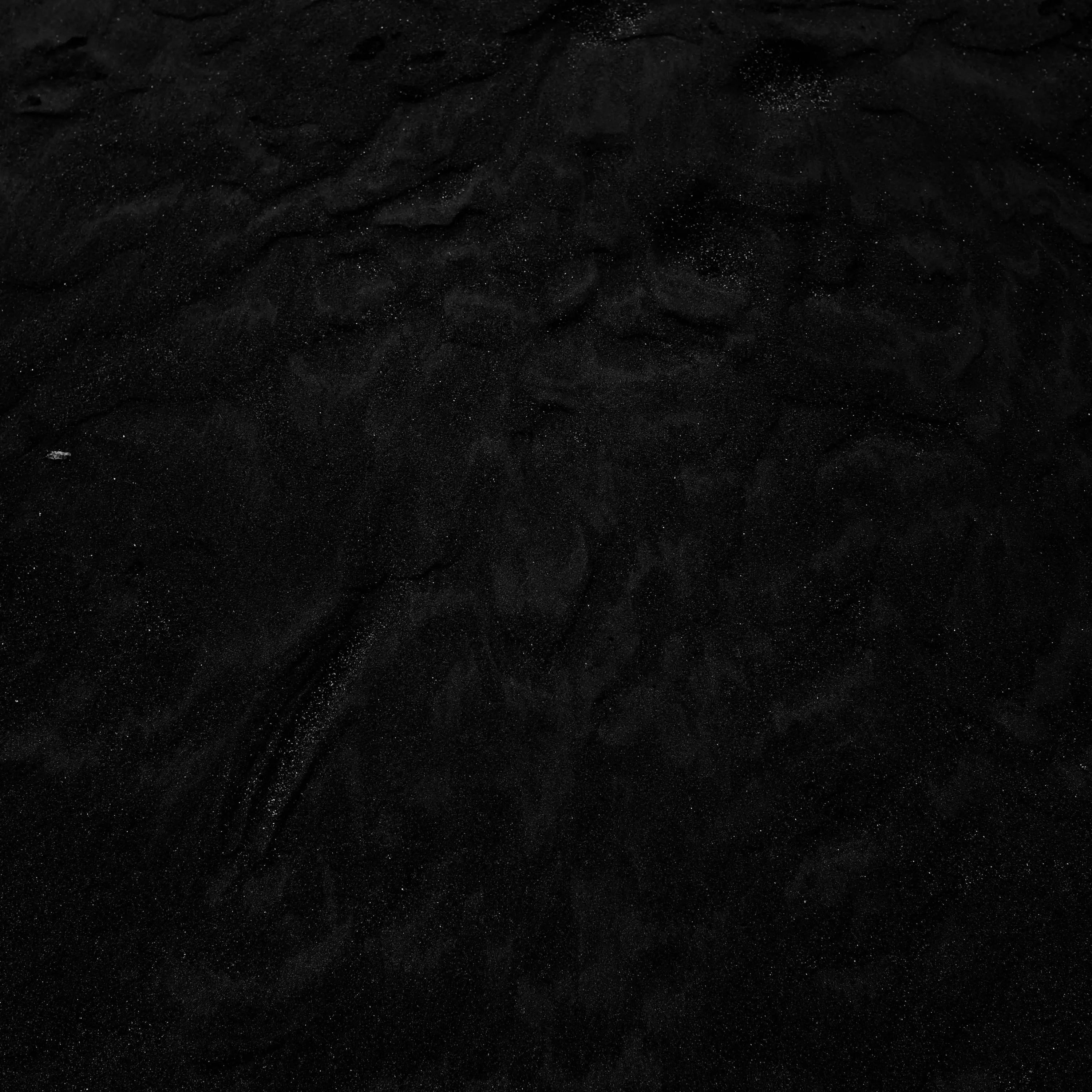 Tastyummy의 바이크