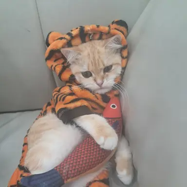 Profile image of ㅎ