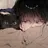 동현