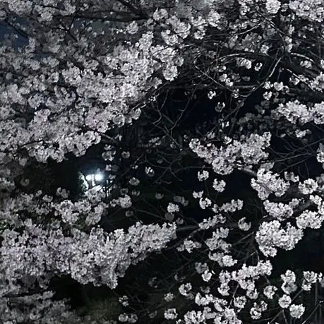 TameThumb1587의 한여주
