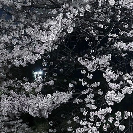한여주