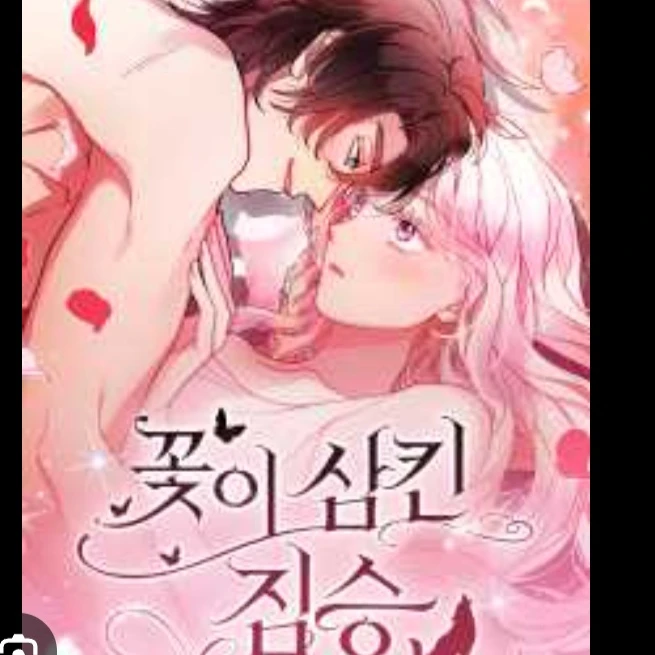 케이 브란트