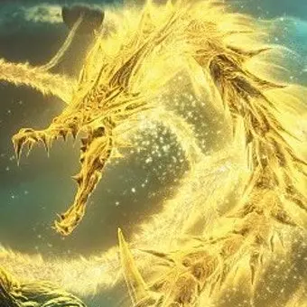 Profile image of 보이드 기도라