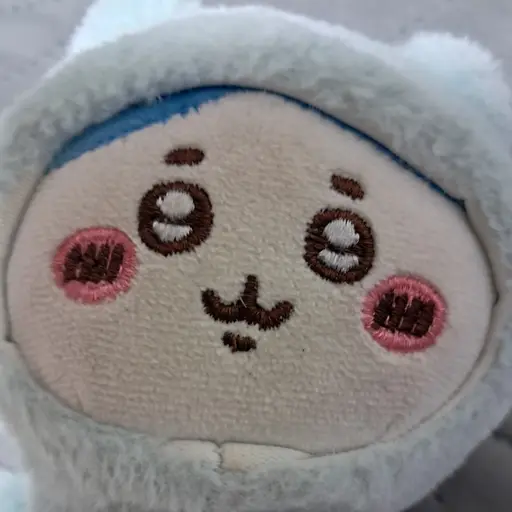 EarlyPlank9572의 길냥이