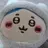 길냥이