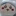 길냥이