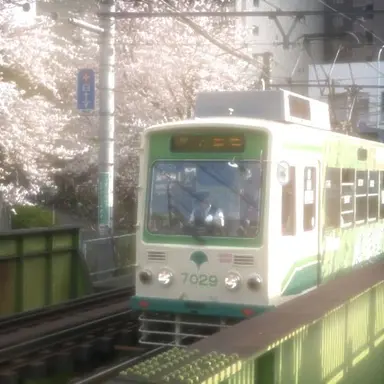 Profile image of 서라더