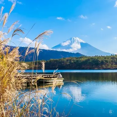 Profile image of 部下