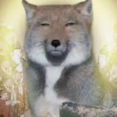 Profile image of 여우