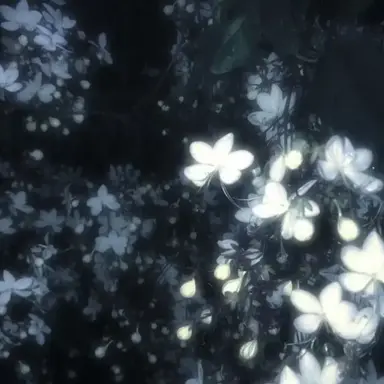 Profile image of 시미베