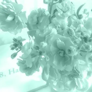 Profile image of 예엥