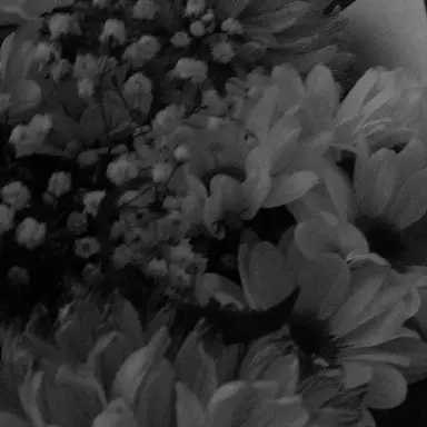 Profile image of 우융