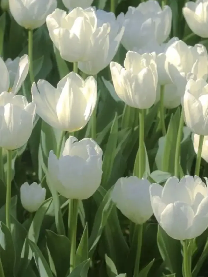 FloralVirus4144의 “..야 너냐 S급 빌런이?..”