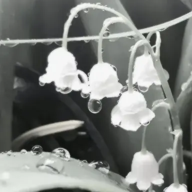 Profile image of 혜비