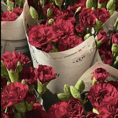 Profile image of 플래그