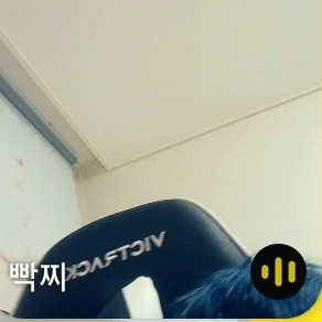 ㄴㅈㅅ
