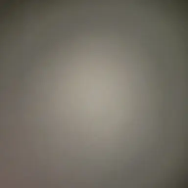 Profile image of 김여우