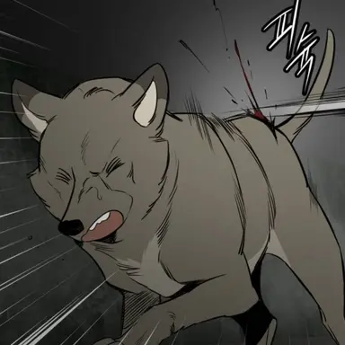 Profile image of 봉구