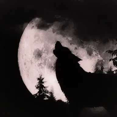 Profile image of カン・ウンソク
