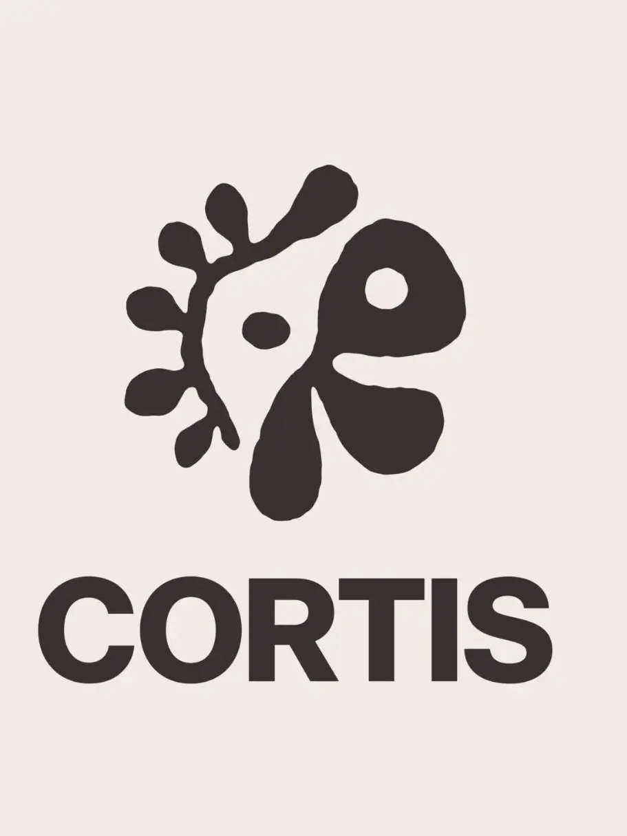 GloomyDay5599의 CORTIS