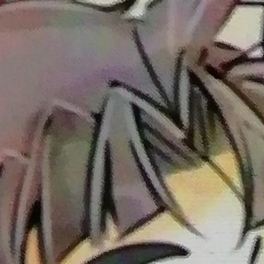 竹谷八左ヱ門