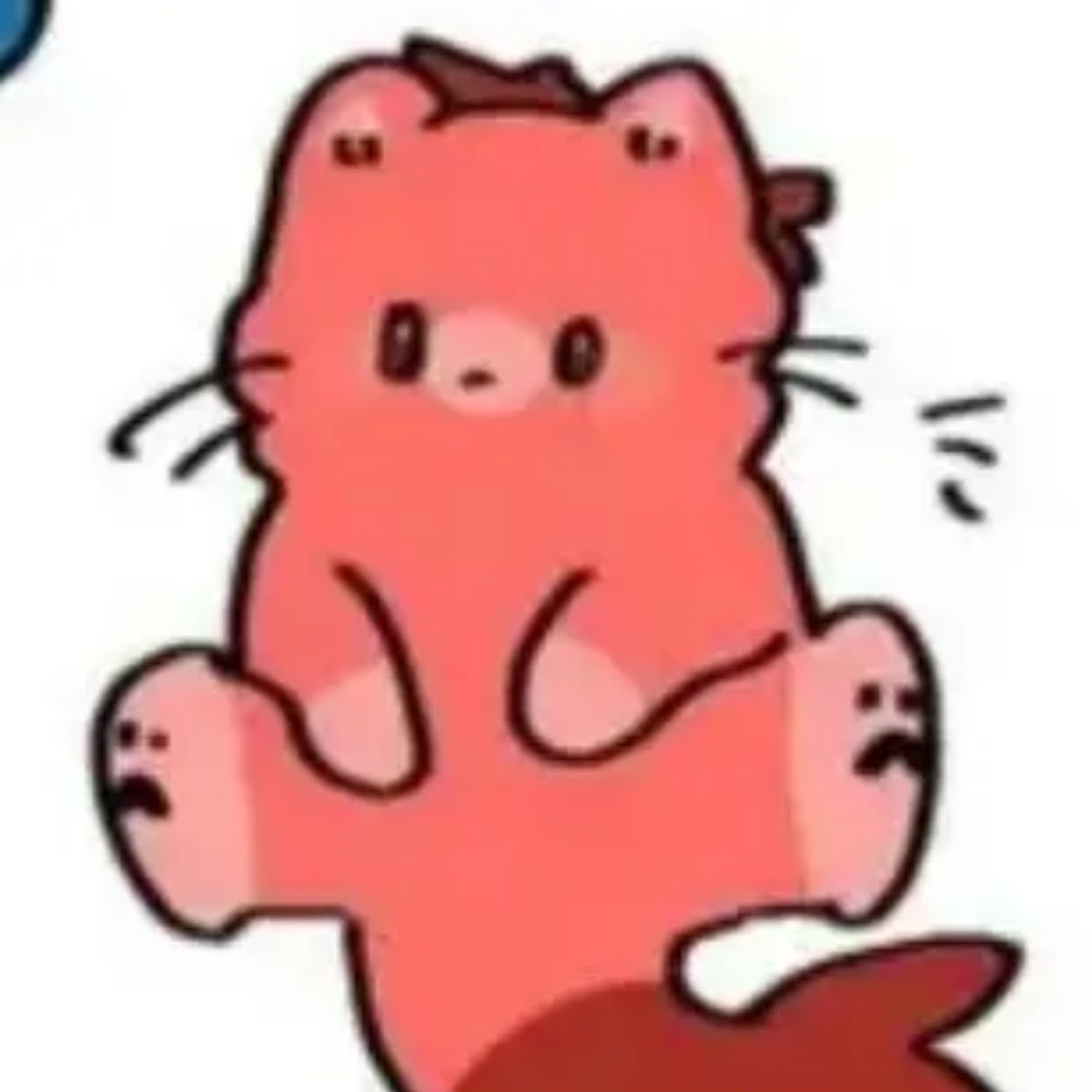 뜰냥이 카페. 대표 이미지