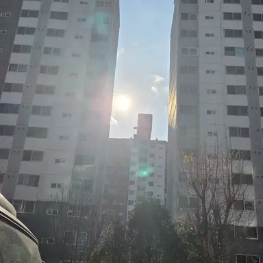 Profile image of 레나후르 라더