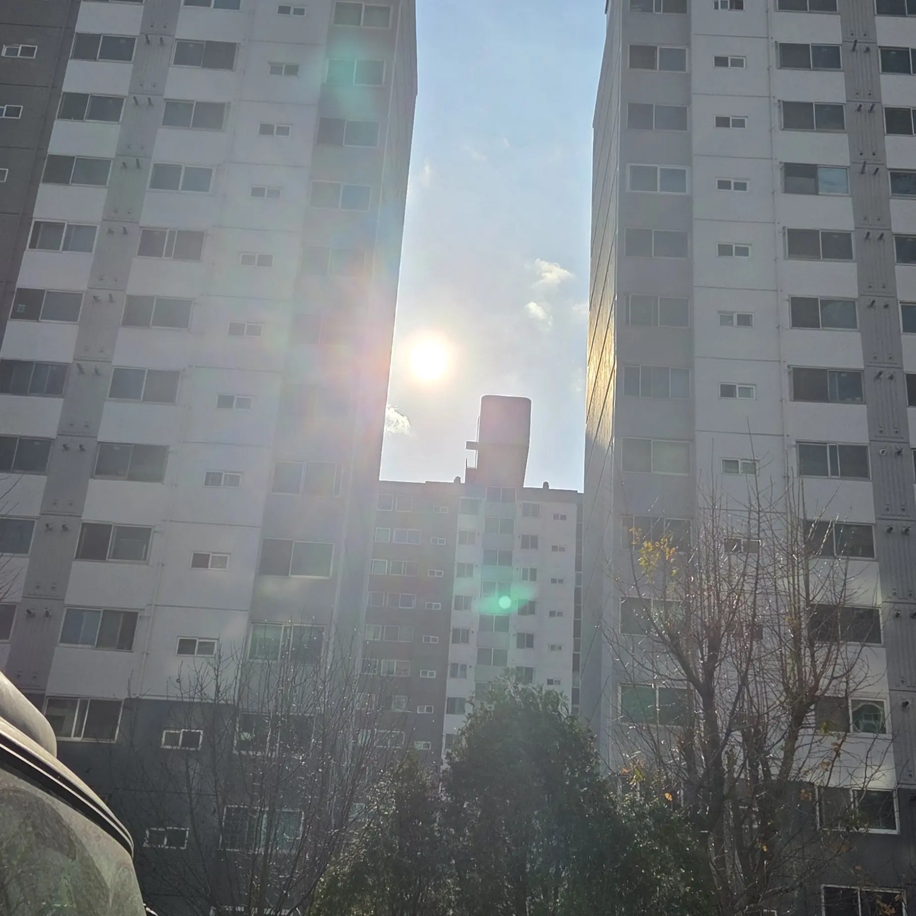 MatureMedal5761의 습격으로가족을잃은뱀파이어