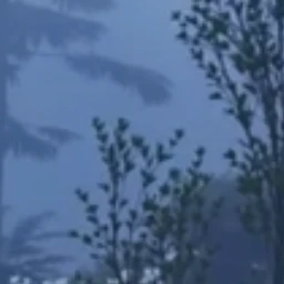 卯月