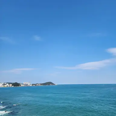 Profile image of 파이브