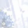 Profile image of 杏