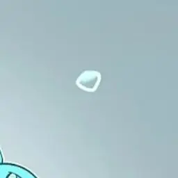 Profile image of 김여우