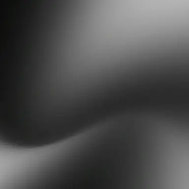 Profile image of WP