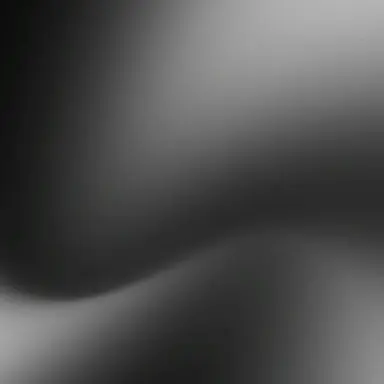 Profile image of DW