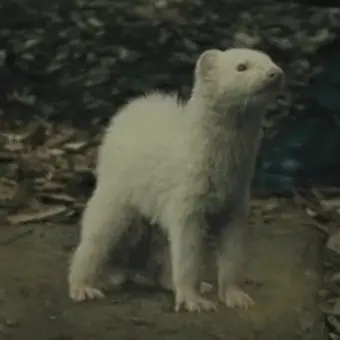 anoua의 Draco Malfoy
