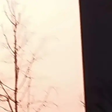 Profile image of 덕개