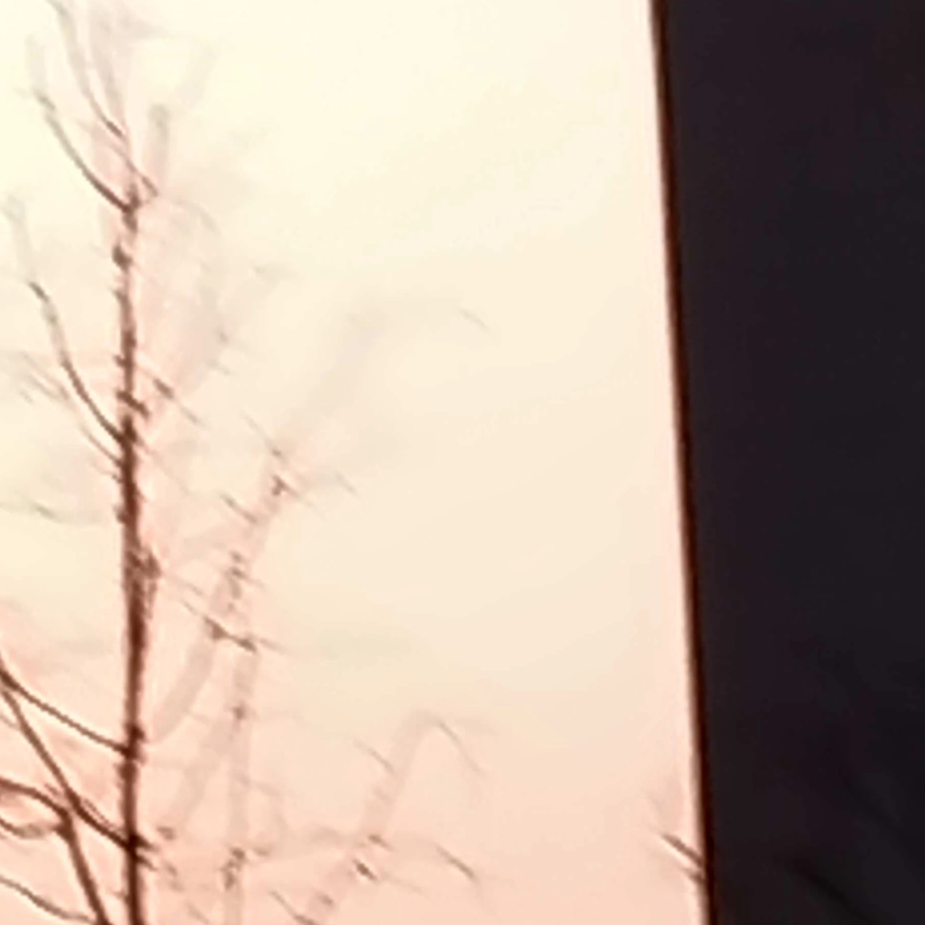 덕개