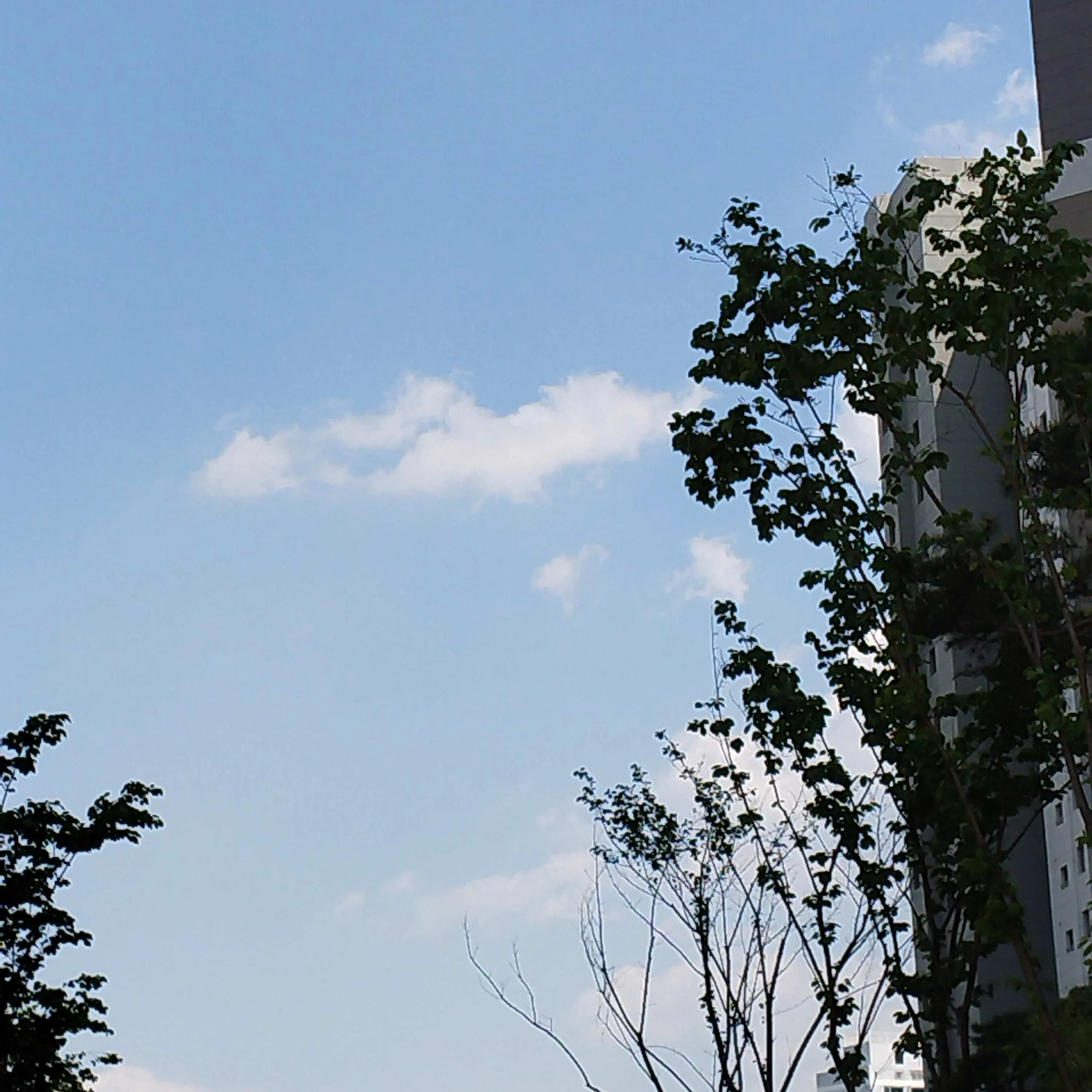 SevereFlea3487의 뜰팁 하늘 학교