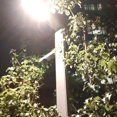 Profile image of 공룡