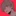 김 성 미