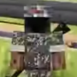 Profile image of 검징