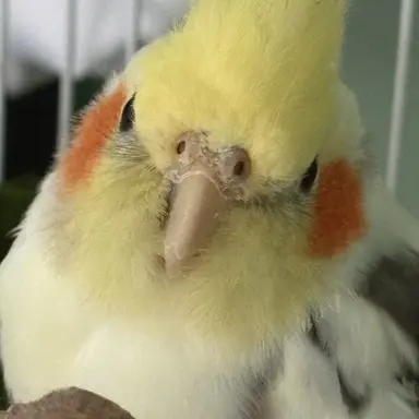 Profile image of ....