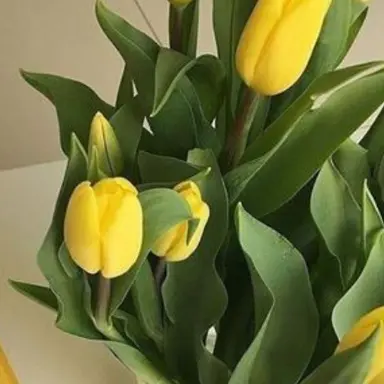 Profile image of 각별