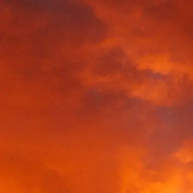 Profile image of 덕개