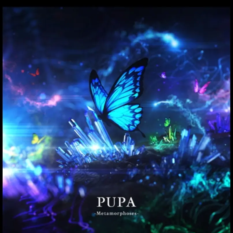 Xx12607xX의 PUPA(BMS)
